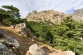 0120 Col de Bavella